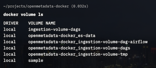 docker volumes screenshot 2